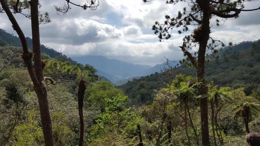 Reserva Madre de las Aguas: entre la búsqueda de conservación y desarrollo comunitario