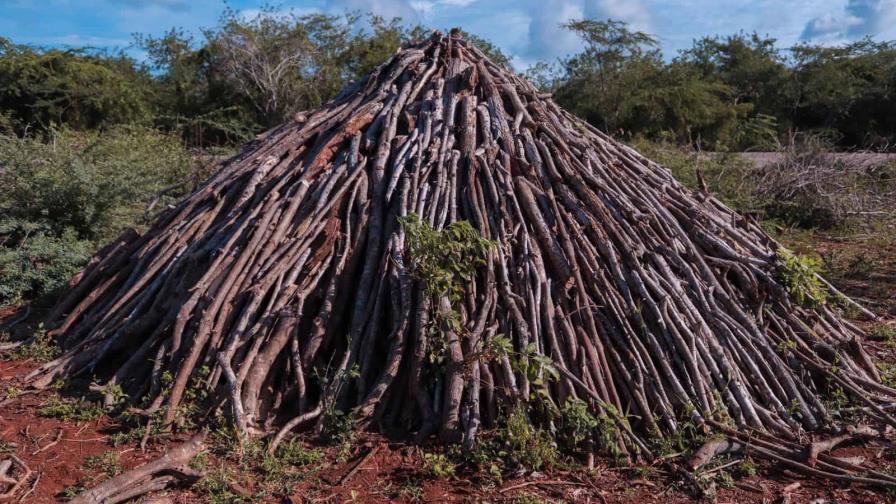 Medio Ambiente detecta violación de permiso ambiental para aeropuerto de Pedernales