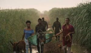Pel&iacute;cula dominicana Isla de az&uacute;car" gana menci&oacute;n especial en el Festival de Venecia