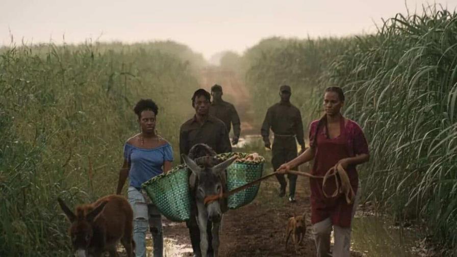 Película dominicana Isla de azúcar" gana mención especial en el Festival de Venecia