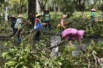 El tifón Yagi deja dos muertos y casi un centenar de heridos a su paso por el sur de China El tifón Yagi deja dos muertos y casi un centenar de heridos a su paso por el sur de China