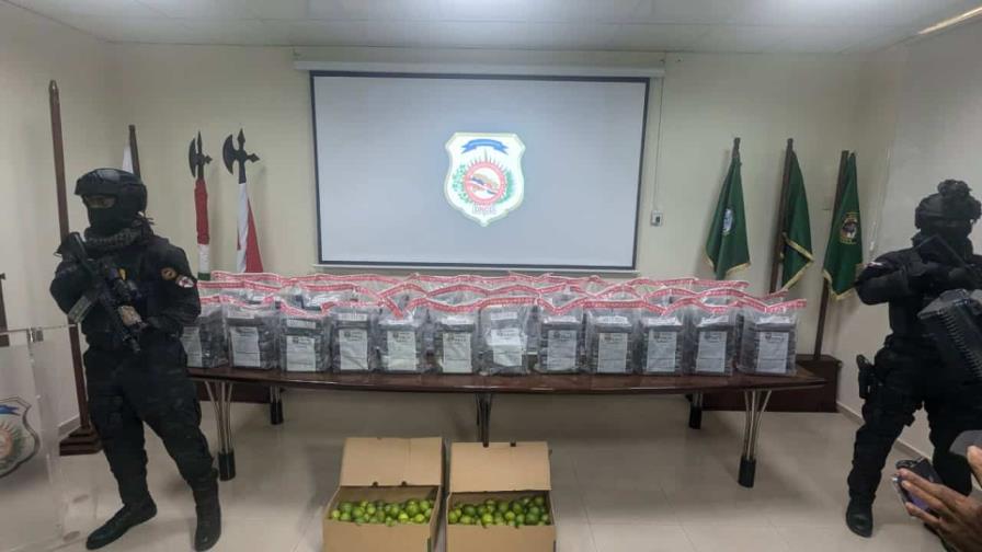 Frustran envío de 201 paquetes de presunta cocaína desde el Puerto de Manzanillo hacia Róterdam