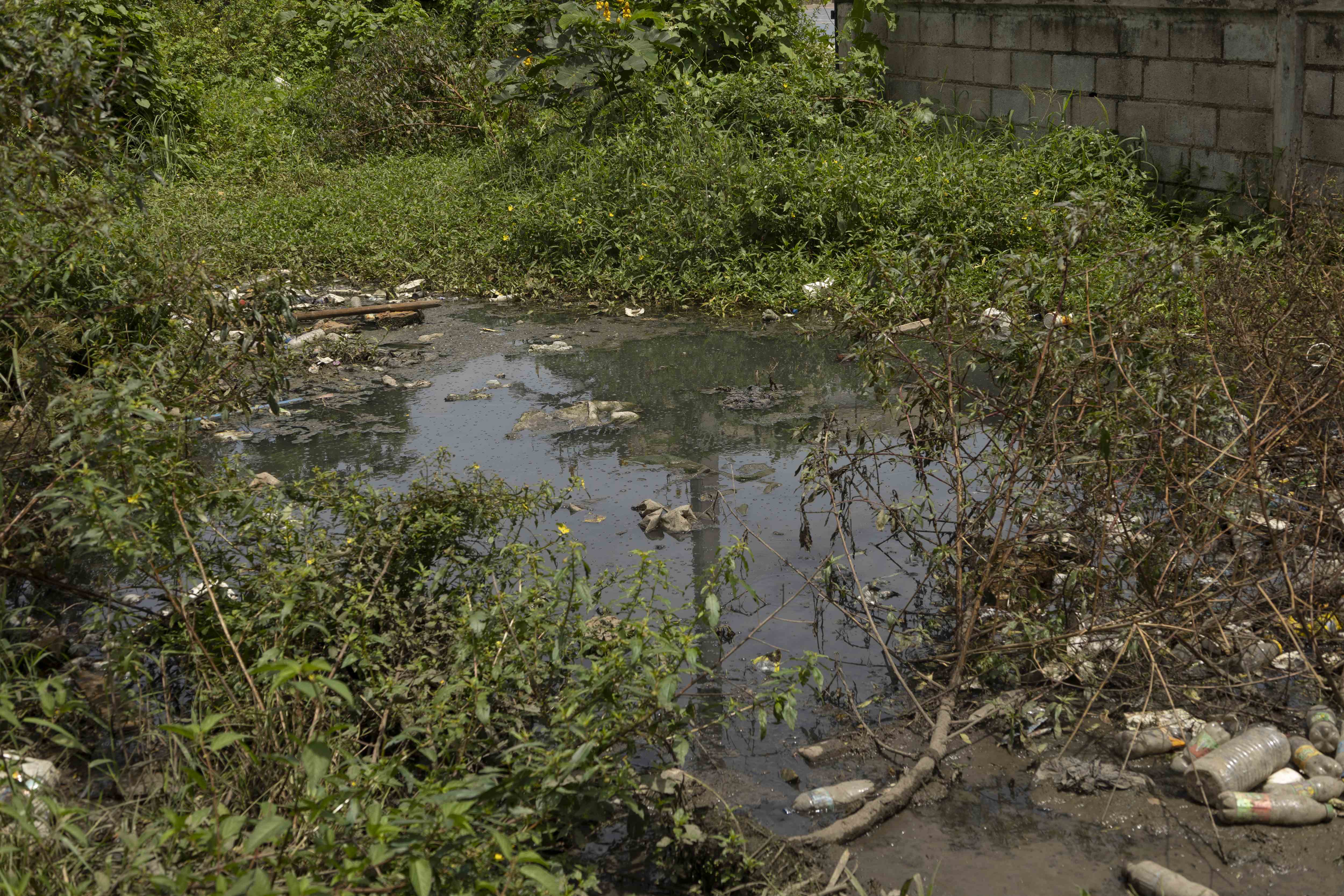 Agua cloacal porque los sépticos están tapados.