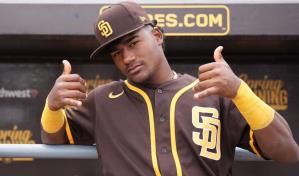 De Vrires y Francisca engalanan la clase disponible en draft de Lidom 2024