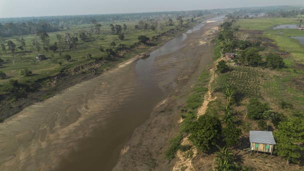 Sequía extrema afecta Amazonía brasileña