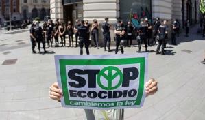 Tres países del Pacífico proponen que el ecocidio sea delito internacional ante la CPI