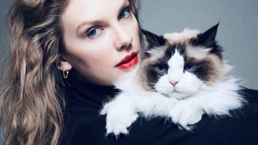 Conoce a Meredith, Olivia y Benjamin Button, los tres gatos de Taylor Swift