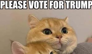 Los rumores contra los migrantes haitianos, un asunto grave reducido a memes en redes sociales