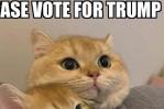 ‘Comedores de gatos o pájaros’: el bulo de una campaña trumpista contra migrantes haitianos ‘Comedores de gatos o pájaros’: el bulo de una campaña trumpista contra migrantes haitianos