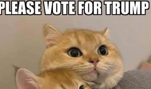 ´Comedores de gatos o pájaros´: el bulo de una campaña trumpista contra migrantes haitianos