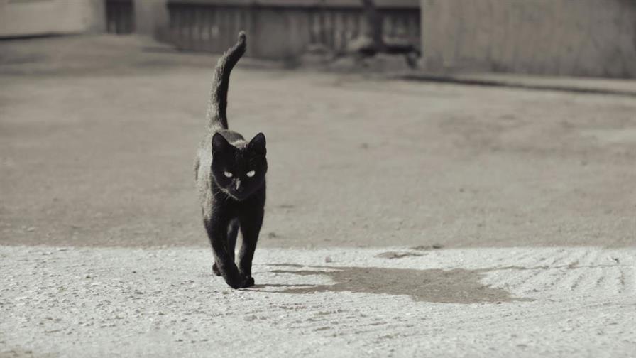 Atención a los brujeros: 2026 viene con dos martes 13 y tres viernes 13 Atención a los brujeros: 2026 viene con dos martes 13 y tres viernes 13