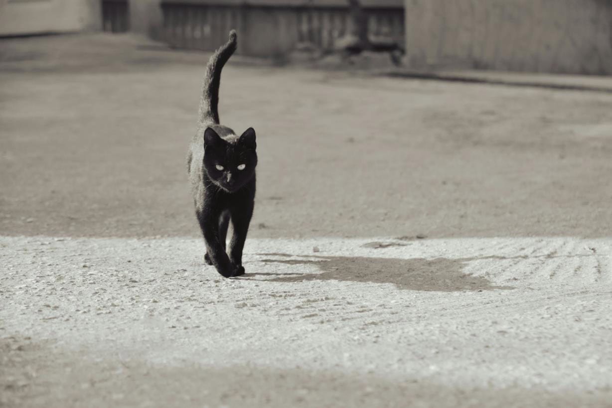 Atención a los brujeros: 2026 viene con dos martes 13 y tres viernes 13 Atención a los brujeros: 2026 viene con dos martes 13 y tres viernes 13