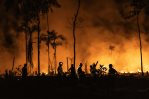 La devastación dejada por los incendios en Brasil en agosto igualó la de los otros 7 meses La devastación dejada por los incendios en Brasil en agosto igualó la de los otros 7 meses