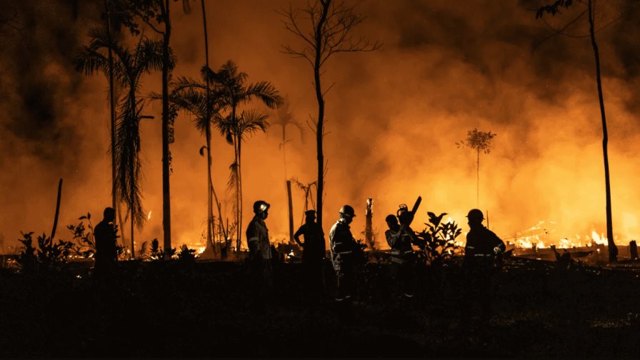 La devastación dejada por los incendios en Brasil en agosto igualó la de los otros 7 meses