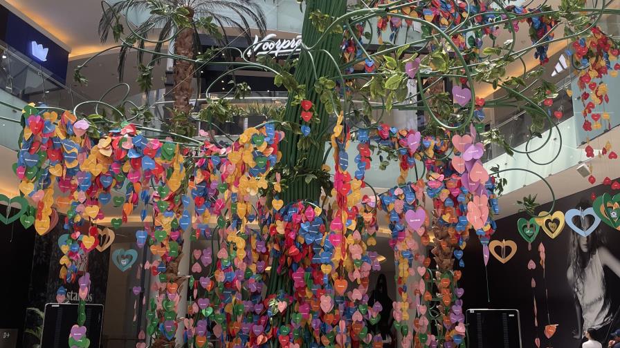 El Árbol de la Esperanza: 10 años, 24 fundaciones y miles de vidas impactadas