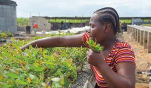 Pluriempleo aumentó 12 % a junio de este año, pese a mejora salarial