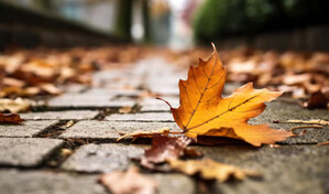 El domingo concluir&aacute; el verano y comenzar&aacute; el oto&ntilde;o con noches m&aacute;s largas