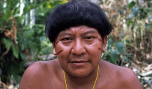 Indígena Yanomami de Brasil acusa al gobierno de Lula de falsedad y pide ayuda a Alemania
