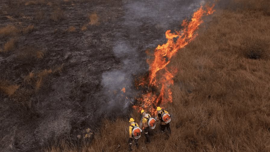 Lula admite que Brasil no estaba 100% preparado para enfrentar la ola de incendios forestales