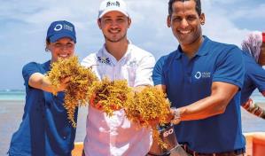 Origin by Ocean, la empresa que exporta sargazo de RD a Finlandia