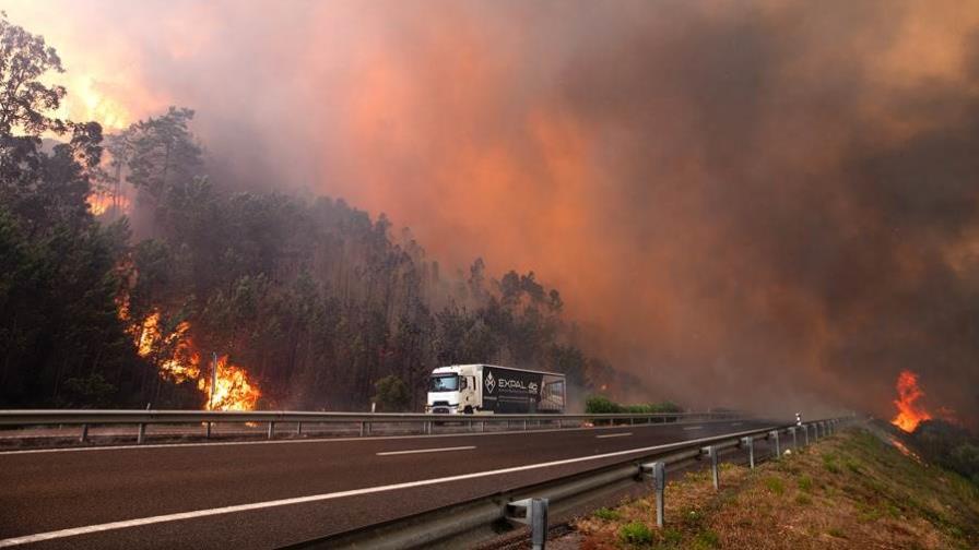 Los incendios arrasaron casi 95,000 hectáreas en Portugal en cinco días