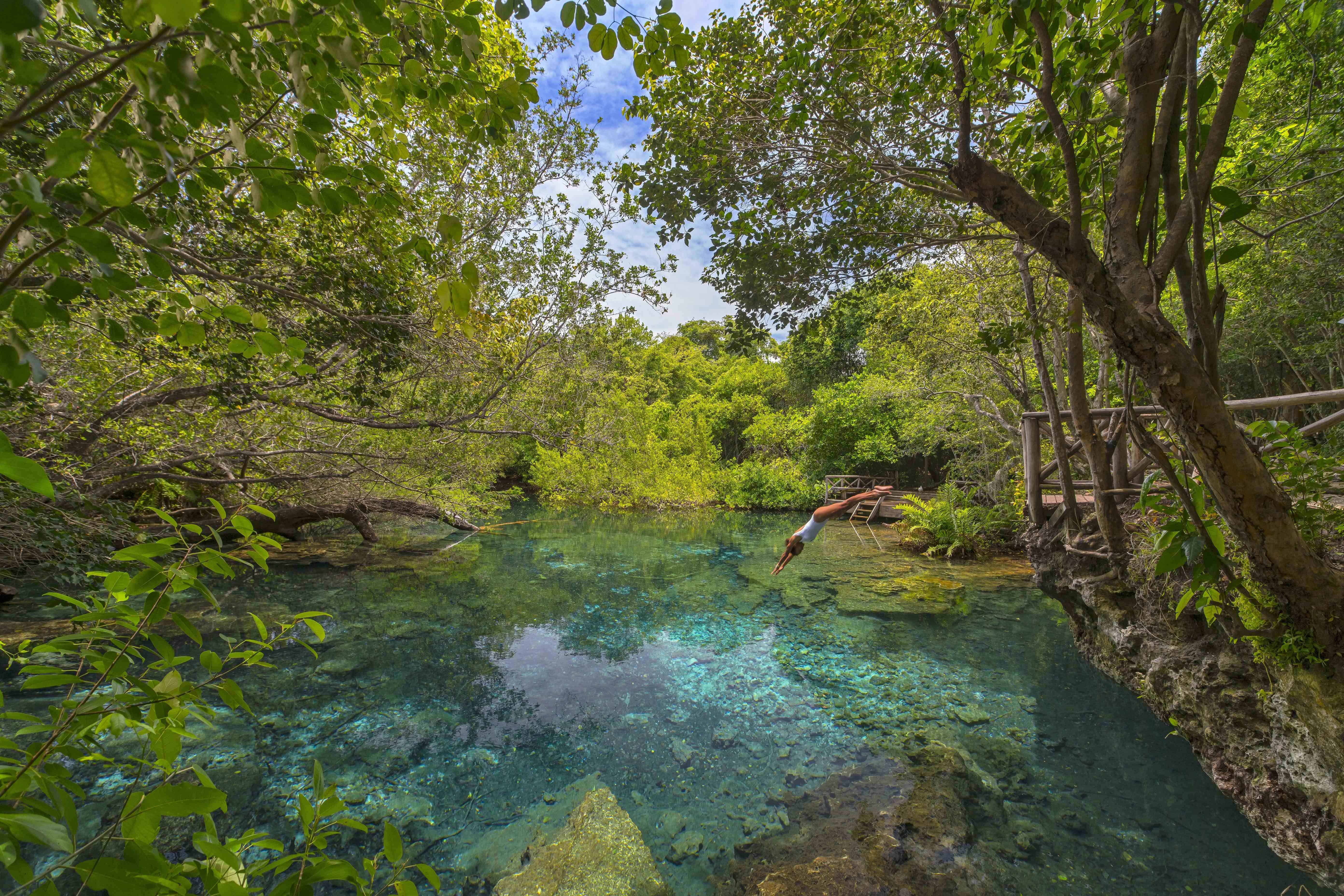 Reserva Ecológica Ojos Indígenas