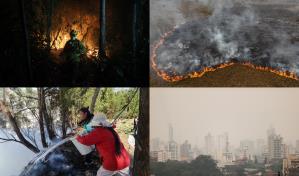 Suramérica enfrenta una de las peores olas de incendios en los últimos años