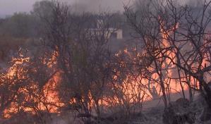 Recrudecen incendios en centro de Argentina