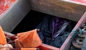 Incautan en Uruguay cerca de una tonelada de cocaína que iría a Europa