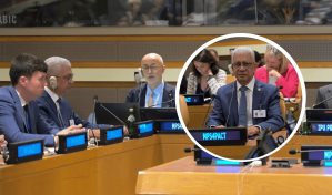 Presidente del Senado propone en la ONU un pacto parlamentario para enfrentar cambio clim&aacute;tico