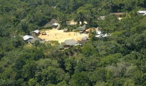 Cient&iacute;ficos estudian visi&oacute;n del pueblo Sarayaku en Ecuador sobre la Selva viviente