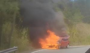 Incendio de vehículo provoca fuego forestal en la carretera Constanza-Jarabacoa