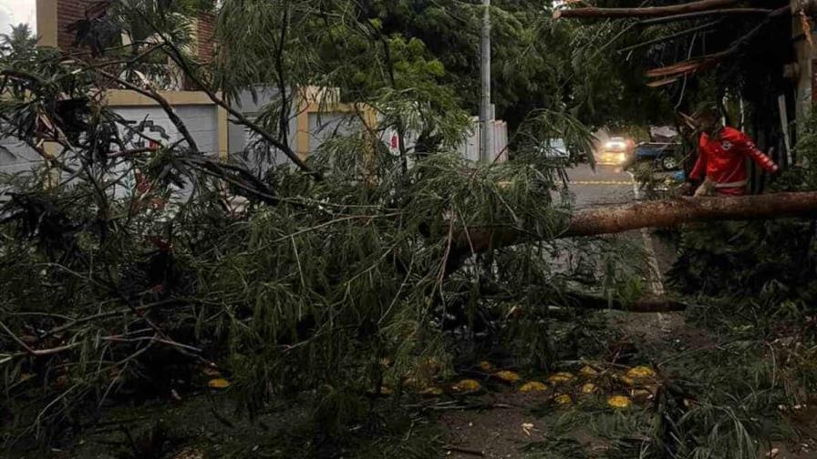 Fuertes ráfagas de viento derriban árboles y causan cortes eléctricos en Navarrete