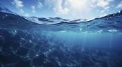 La temperatura de la superficie del mar en julio de 2026 ha sido la m&aacute;s alta para ese mes