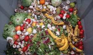 Costa Rica y Rep&uacute;blica Dominicana lideran regulaciones contra el desperdicio de alimentos