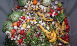Costa Rica y Rep&uacute;blica Dominicana lideran regulaciones contra el desperdicio de alimentos