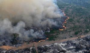 En menos de cuatro décadas la Amazonia perdió un área de bosques casi tan grande como Colombia