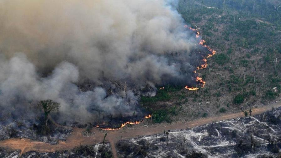 En menos de cuatro décadas la Amazonia perdió un área de bosques casi tan grande como Colombia