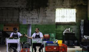 De residuos a recursos: la iniciativa que cambia vidas y salva ríos