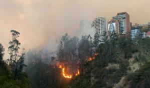 Quito enfrenta una situación “crítica” a causa de cinco incendios forestales simultáneos