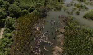 La presa de Monte Grande inunda parcelas de productores en Azua