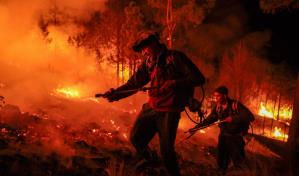Suramérica acumula hasta septiembre el mayor número de incendios forestales en 14 años
