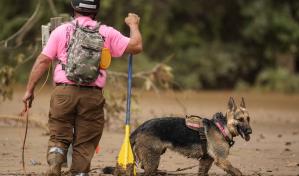 Las víctimas del huracán Helene en EEUU ya suman 152