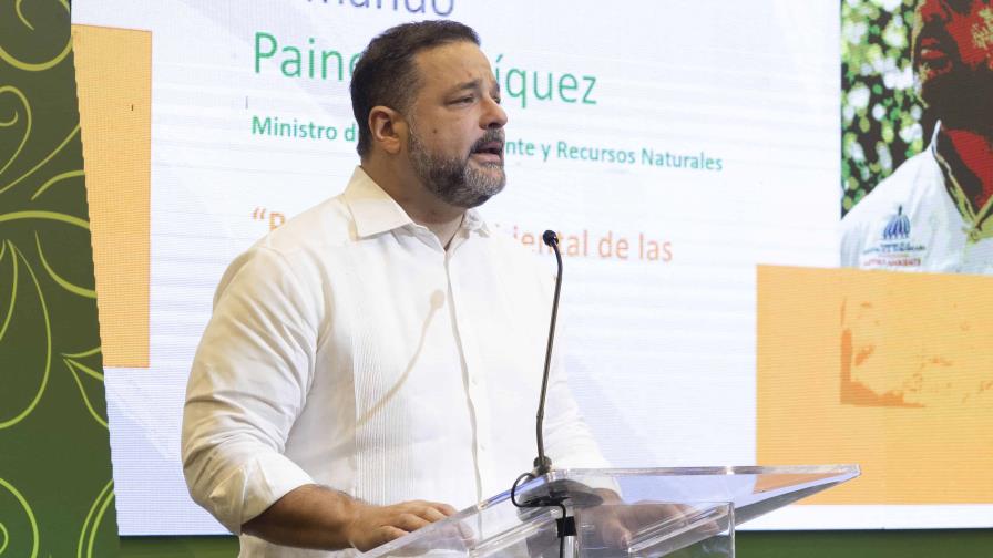 Paíno Henríquez dice Medio Ambiente requiere más presupuesto para "estar en el lugar que debe"