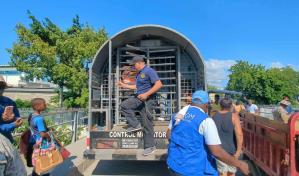 Director del Centro Montalvo dice deportaciones de haitianos son una cacería de humanos