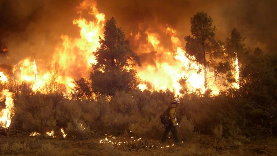 Los incendios forestales han disparado un 60% las emisiones mundiales de CO2 en 2 décadas