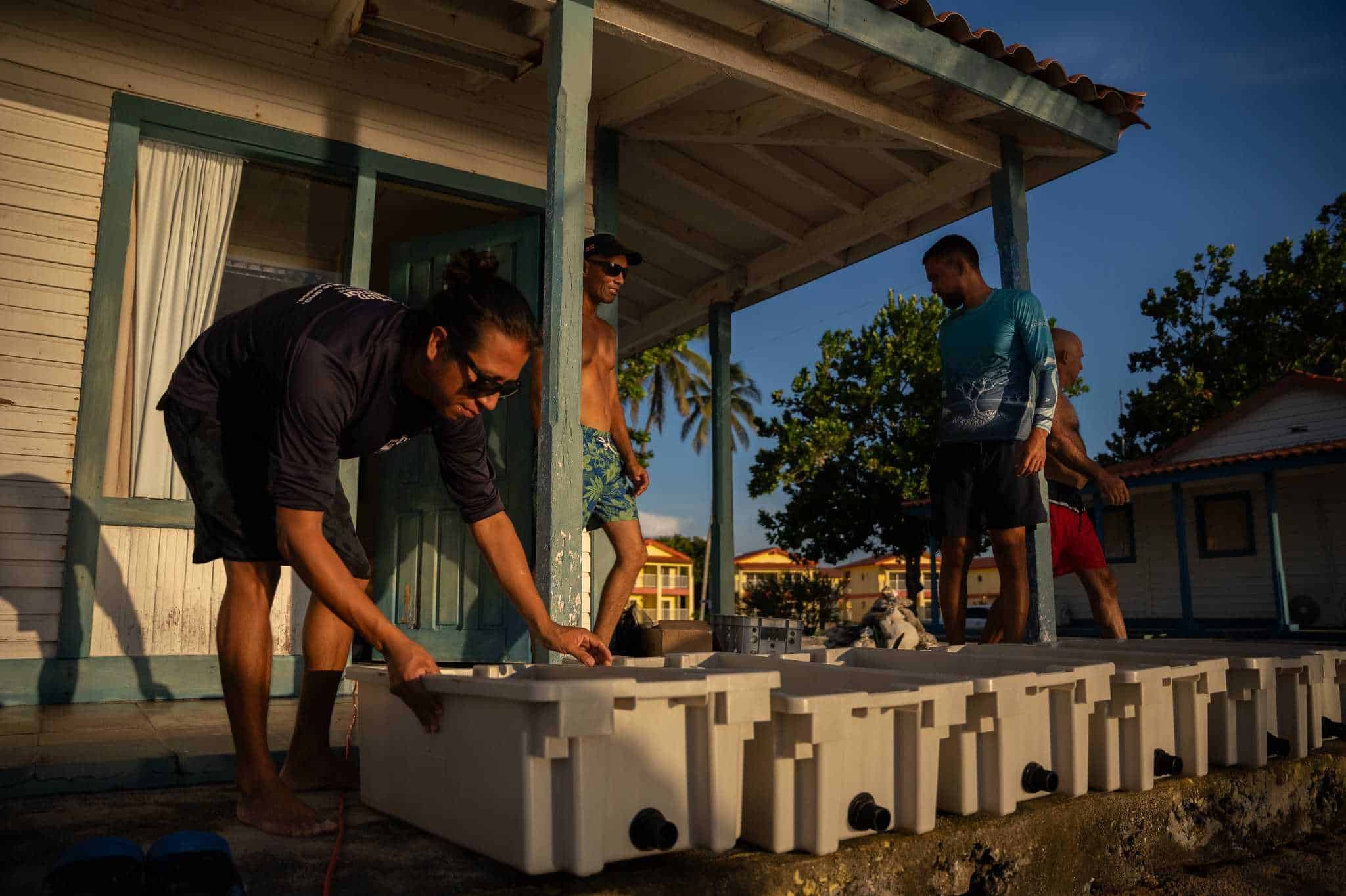 [object HTMLTextAreaElement]