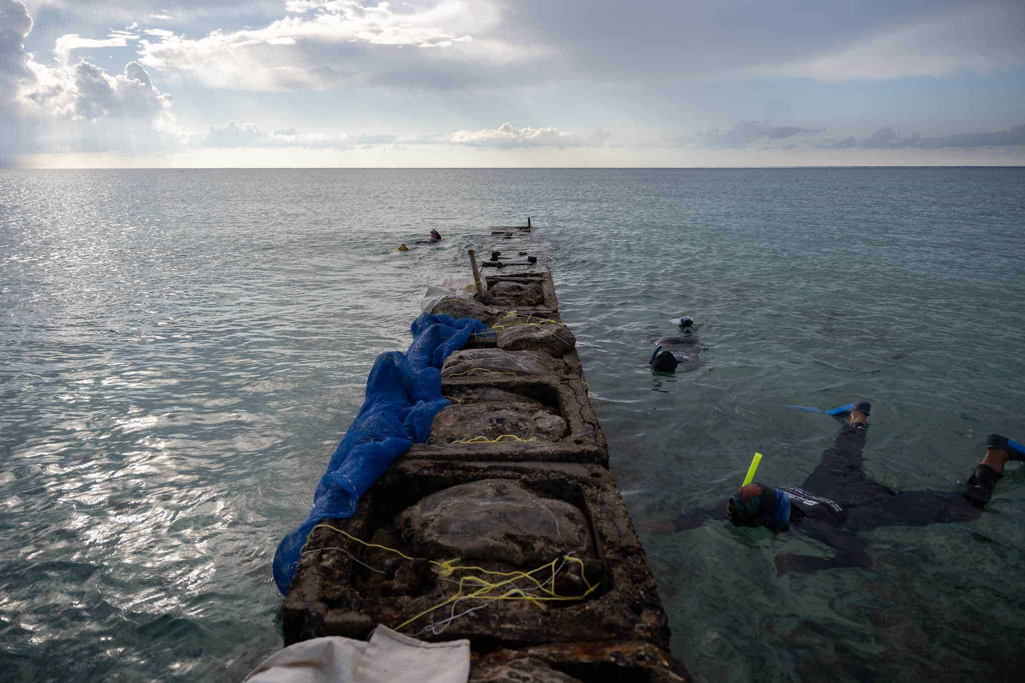 [object HTMLTextAreaElement]