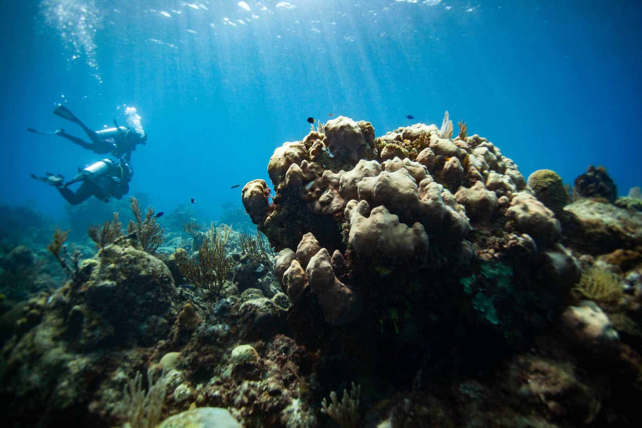 Buzos del Acuario Nacional de Cuba monitorean el arrecife conocido como El Acuario, en el Parque Nacional Guanahacabibes, Cuba.