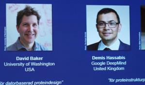 El Nobel de Química premia los avances sobre la predicción de la estructura de las proteínas con IA